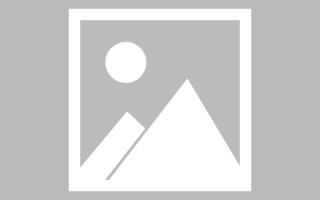 乌海关于网站建设免费（关于网站建设免费的通知）